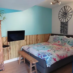 https://studio-pipper.zandvoort-hotels.com